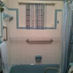 Handicap bathroom-Before